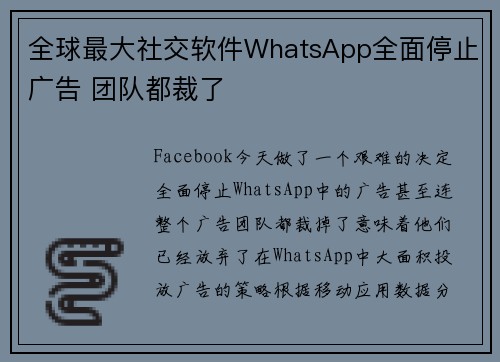 全球最大社交软件WhatsApp全面停止广告 团队都裁了