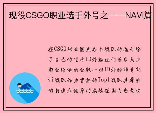 现役CSGO职业选手外号之——NAVI篇